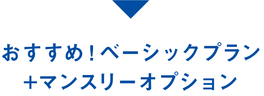 おすすめ！ベーシックプラン+プログラムオプション