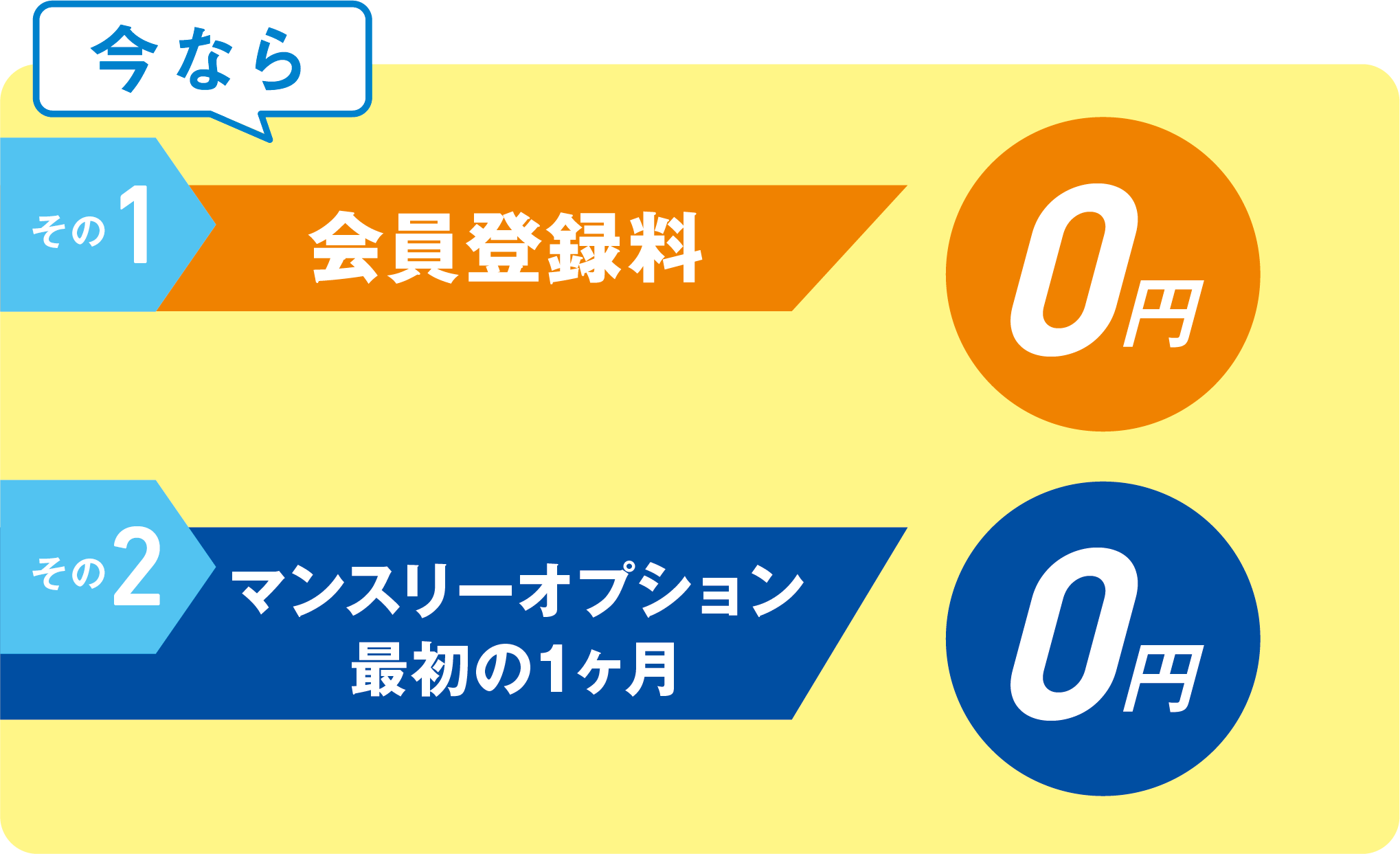 初月度会費0円