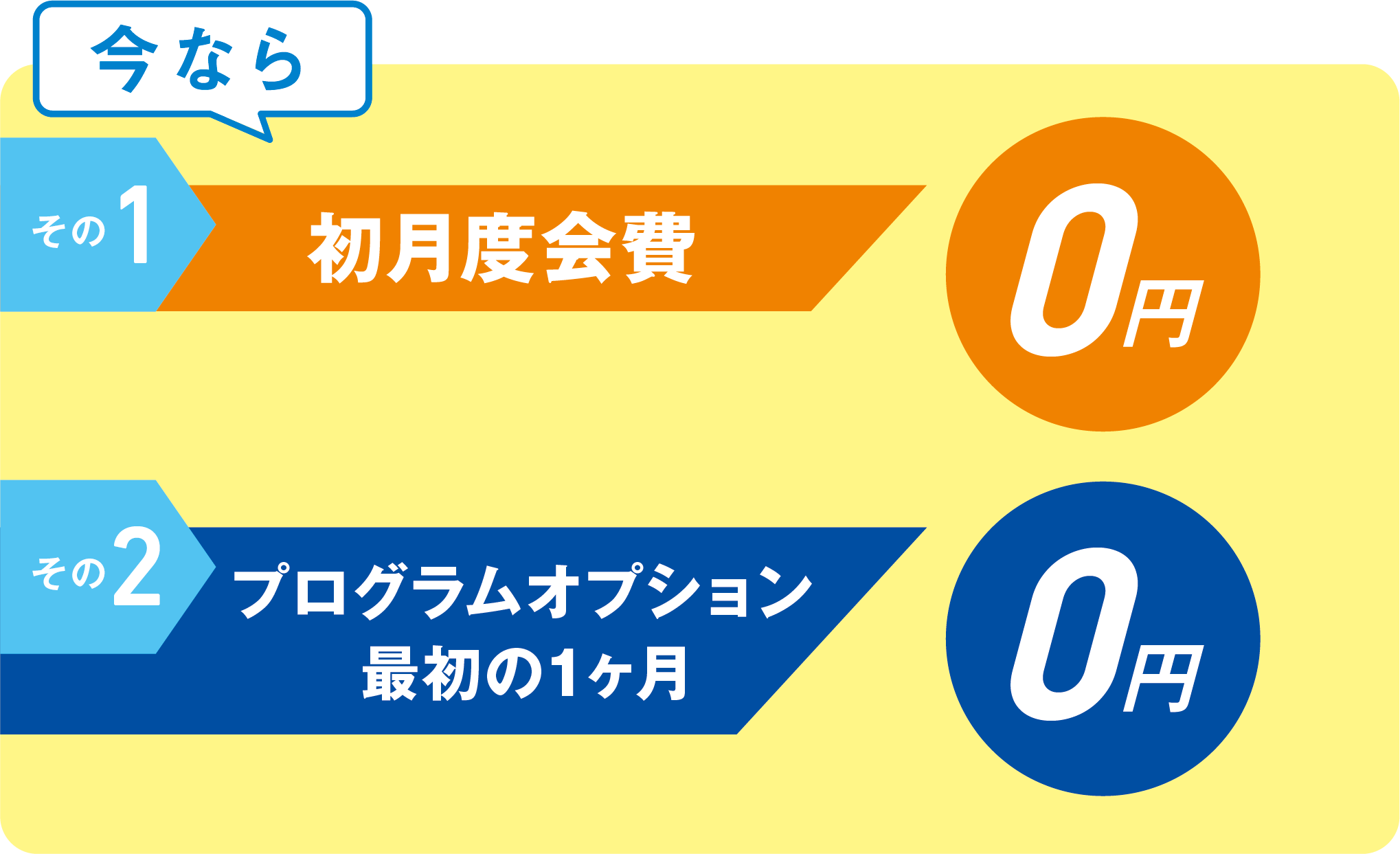 初月度会費0円