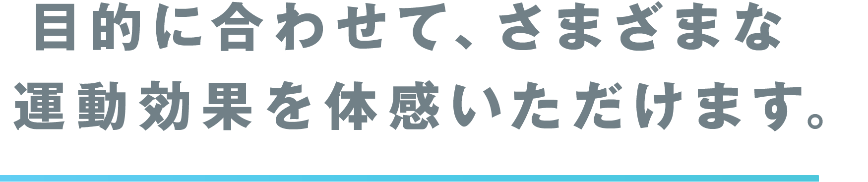 目的に合わせて、さまざまな運動効果を体感いただけます。